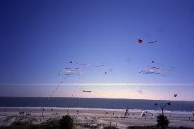 WACKOS own kite festival